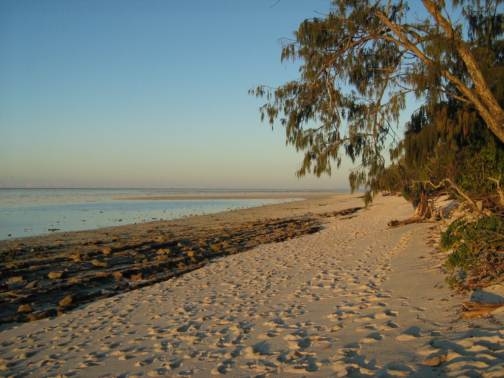 Heron Island